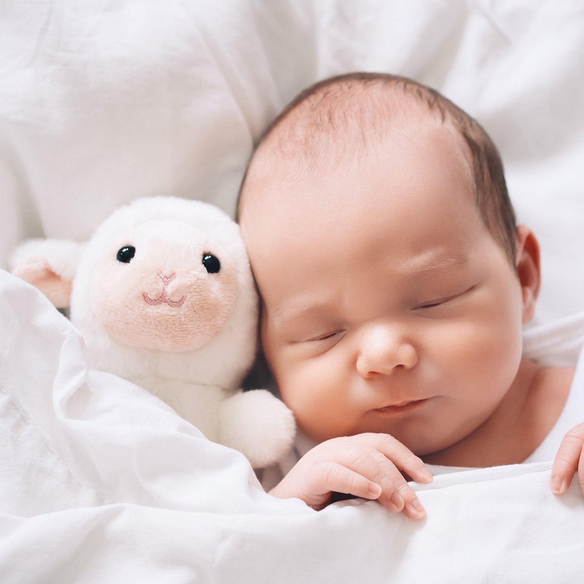 出産報告はがきに使える!可愛い赤ちゃんの写真の撮り方を紹介 - Stella Mimore