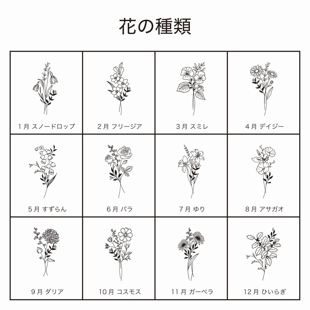 エコー写真アルバム / BIRTHDAY(6colors) - Stella Mimore