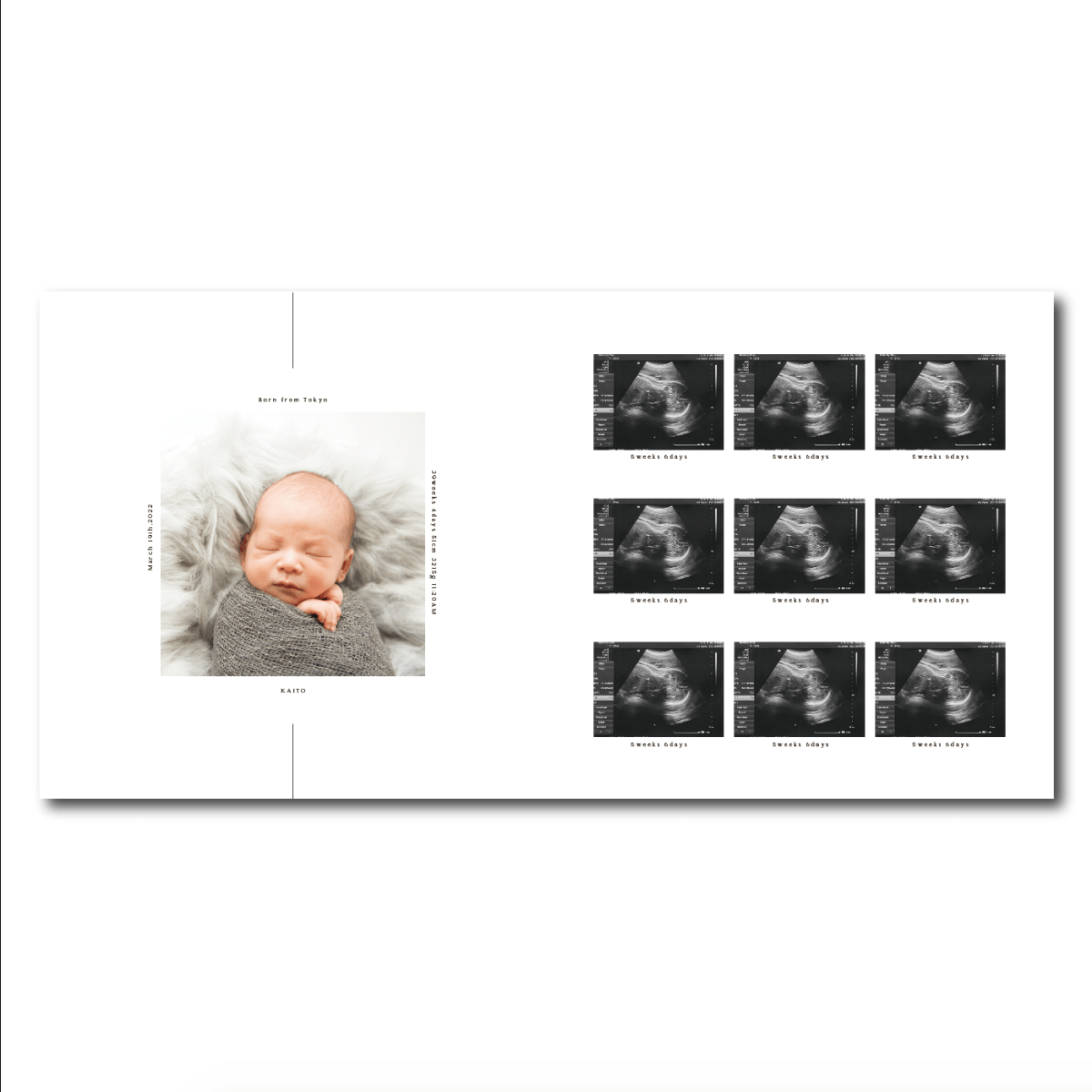 エコー写真アルバム / citronbook Design(4colors) - Stella Mimore