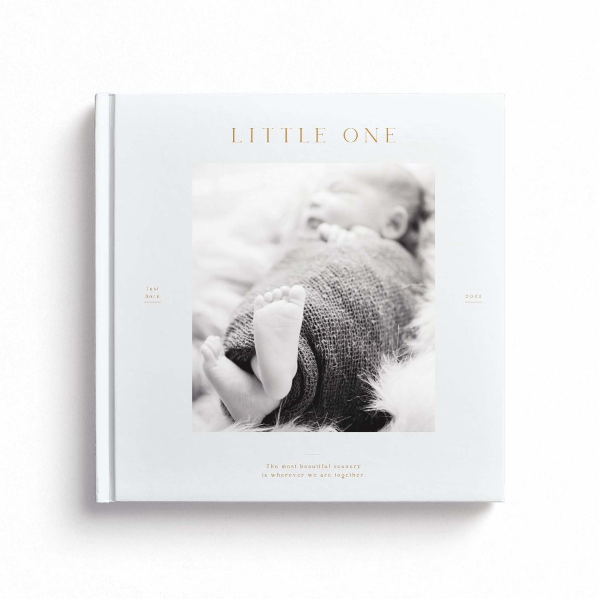 エコー写真アルバム / citronbook Design(4colors) - Stella Mimore