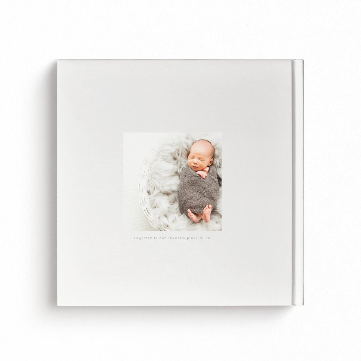 エコー写真アルバム / citronbook Design(4colors) - Stella Mimore