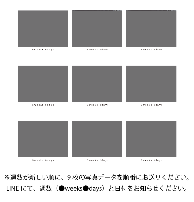 エコー写真アルバム / citronbook Design(4colors) - Stella Mimore
