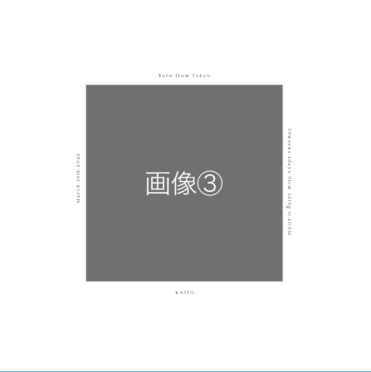 エコー写真アルバム / citronbook Design(4colors) - Stella Mimore