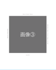 エコー写真アルバム / citronbook Design(4colors) - Stella Mimore