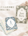 First Morris マイルストーンカード | 月齢成長記録セット - Stella Mimore