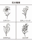エコー写真アルバム / LATTE(4colors) - Stella Mimore