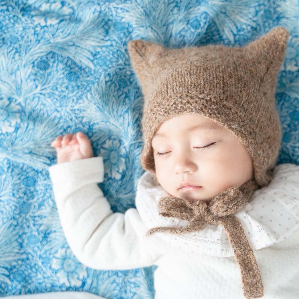 ウィリアムモリス　ぬいぐるみ　犬　William Morris フルーツ　レア ウィリアムモリス ぬいぐるみ 犬 William Morris フルーツ レア