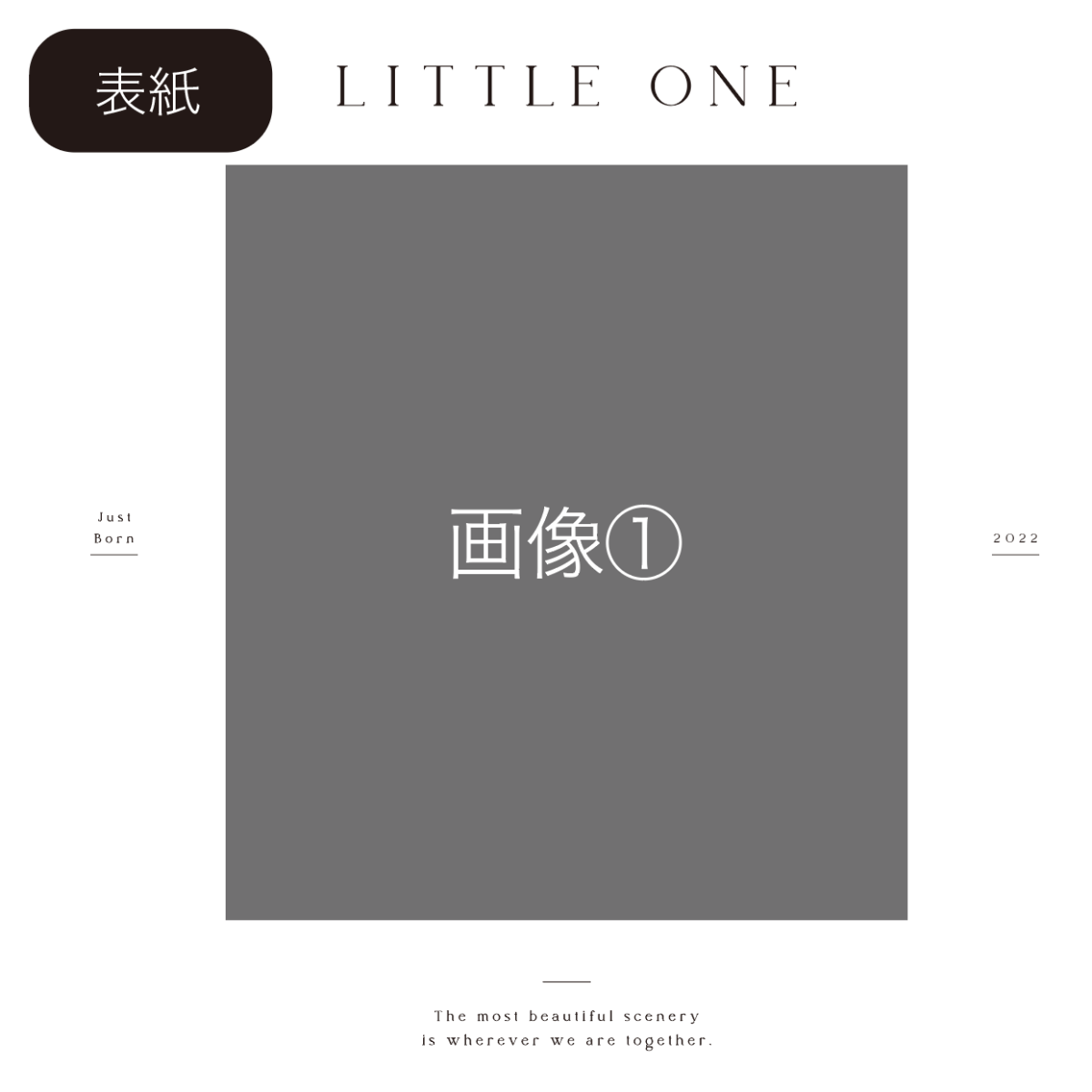 エコー写真アルバム / citronbook Design（4colors） - Stella Mimore