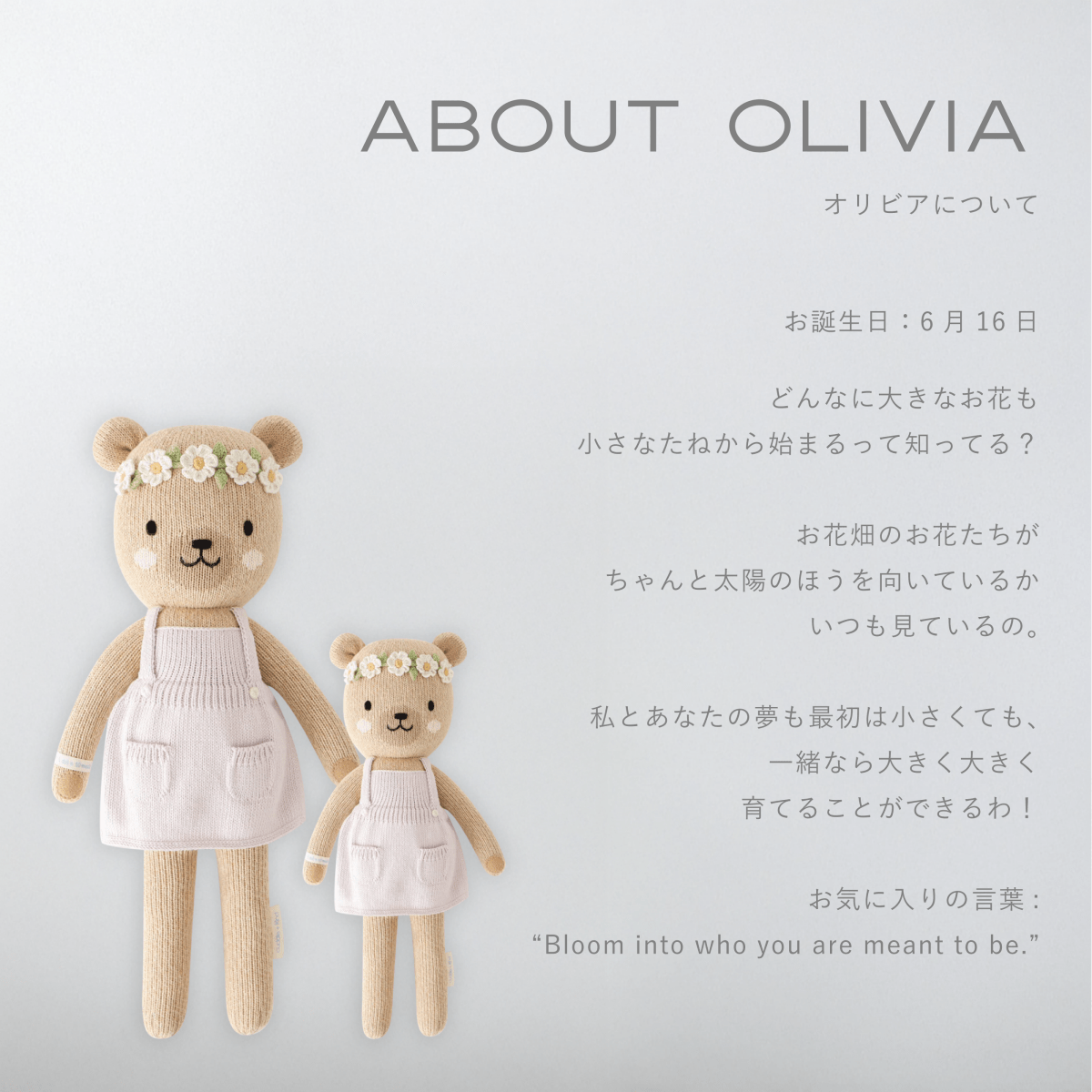 出産祝いギフトセット｜選べる おくるみ+ぬいぐるみ【cuddle + kind シグネチャーコレクション】 - Stella Mimore