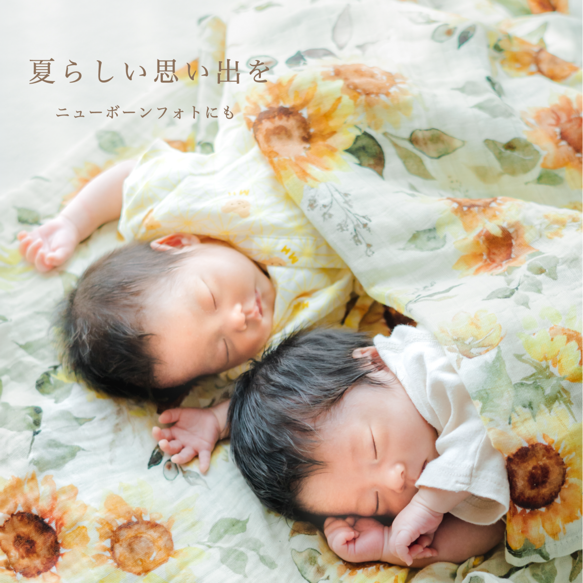 花束スワドル サンフラワー - Stella Mimore