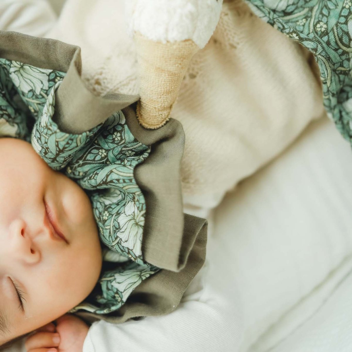 フリルスタイ / ウィリアム・モリス ピンパーネル（日本製） - Stella Mimore